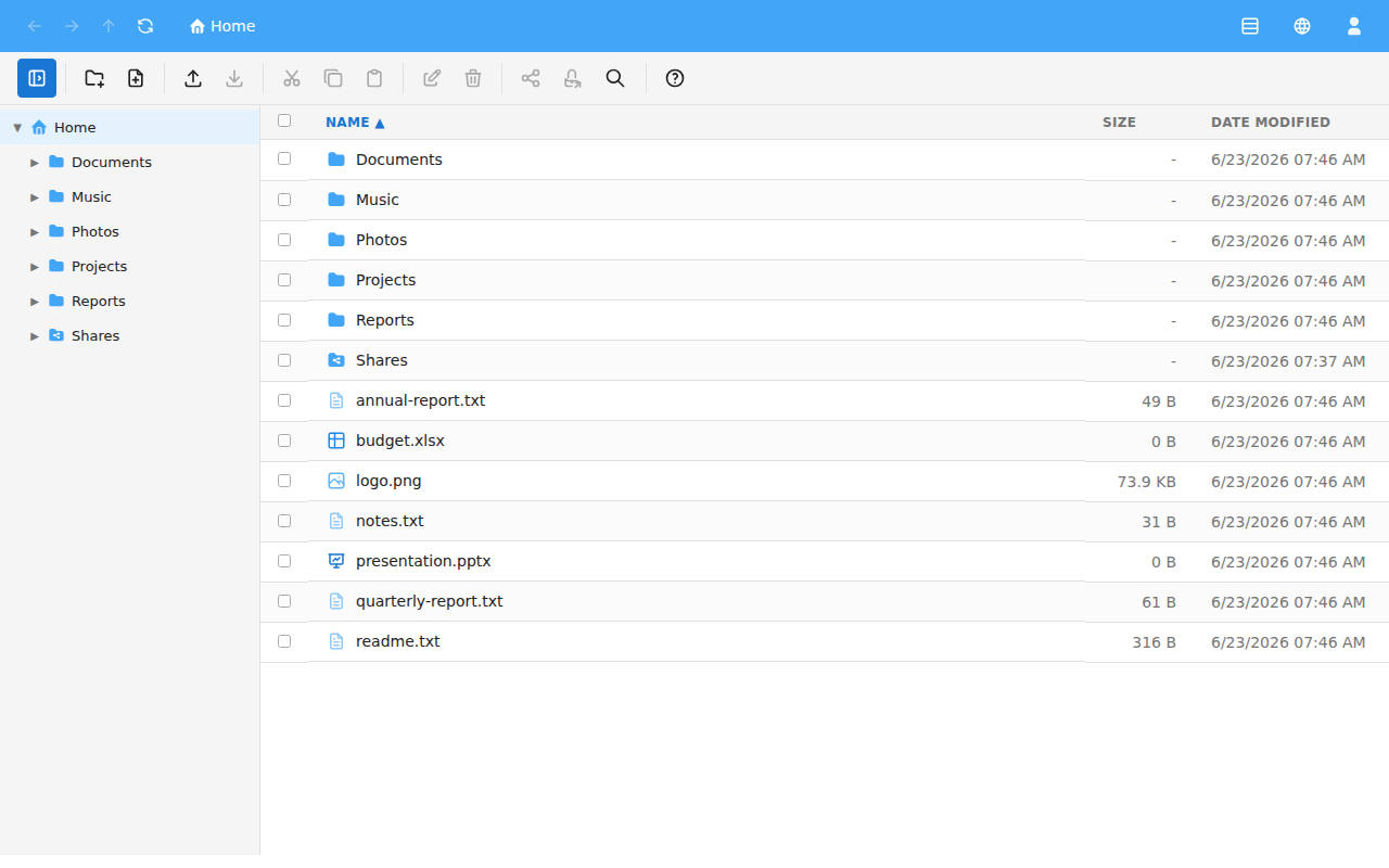 The File Manager screen showing the top bar, toolbar, navigation pane and file list