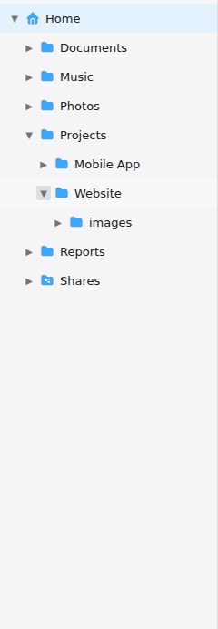 The navigation pane showing an expanded folder tree