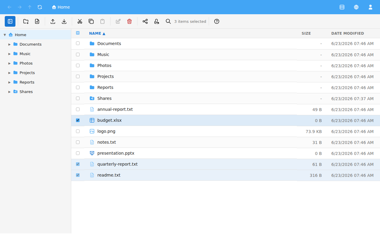The file list with several items selected by their checkboxes